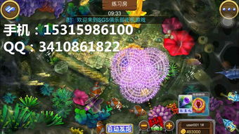 細數(shù)捕魚游戲軟件開發(fā)的游戲技巧 趣味性十足與經典套路設計